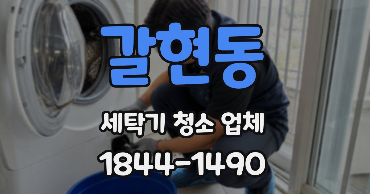 갈현동 세탁기 청소 업체