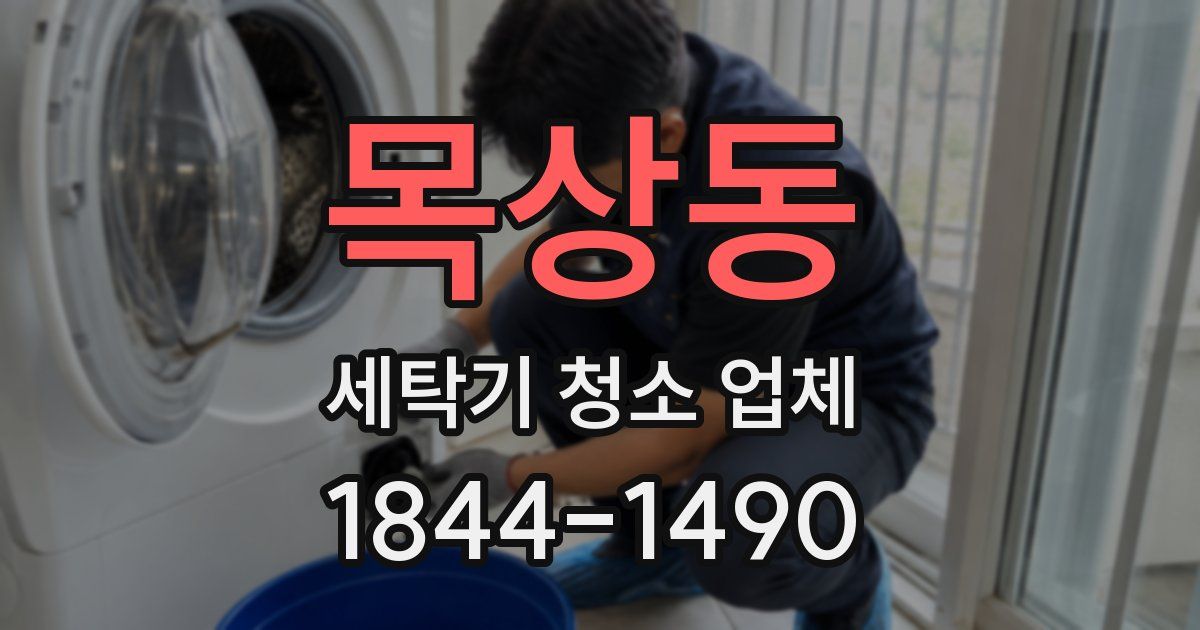 목상동 세탁기 청소 업체