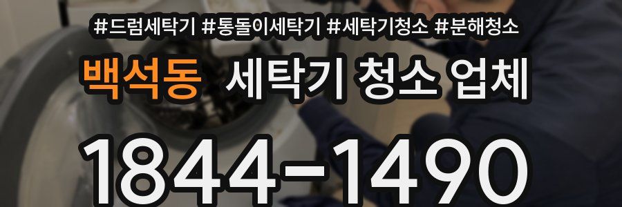백석동 세탁기 청소 업체
