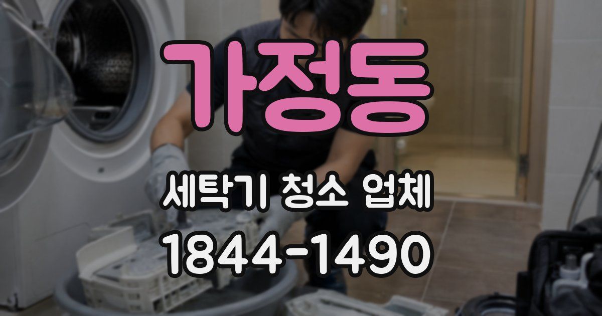가정동 세탁기 청소 업체