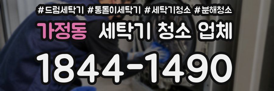 가정동 세탁기 청소 업체