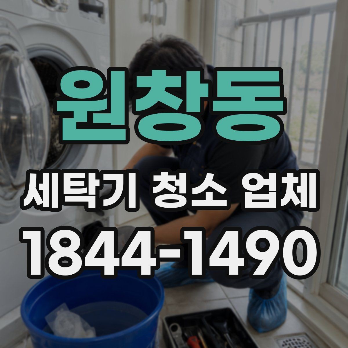 원창동 세탁기 청소 업체 반려동물 가정의 필터 관리 방법