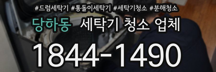 당하동 세탁기 청소 업체