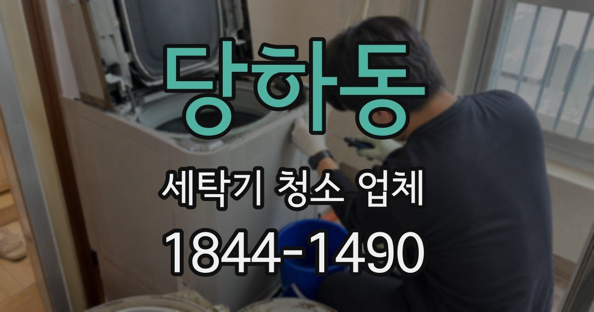 당하동 세탁기 청소 업체