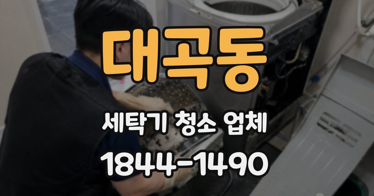 대곡동 세탁기 청소 업체