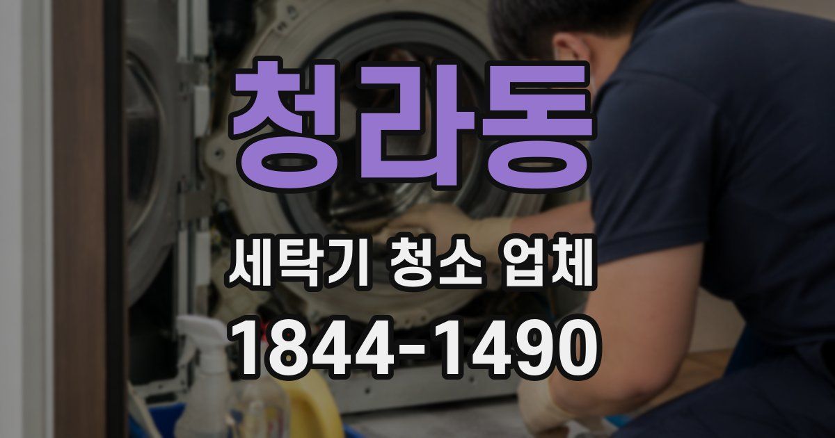청라동 세탁기 청소 업체