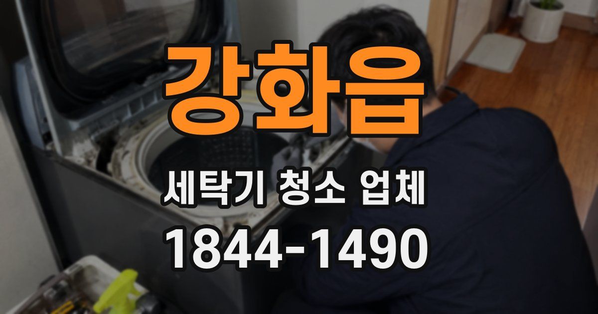 강화읍 세탁기 청소 업체