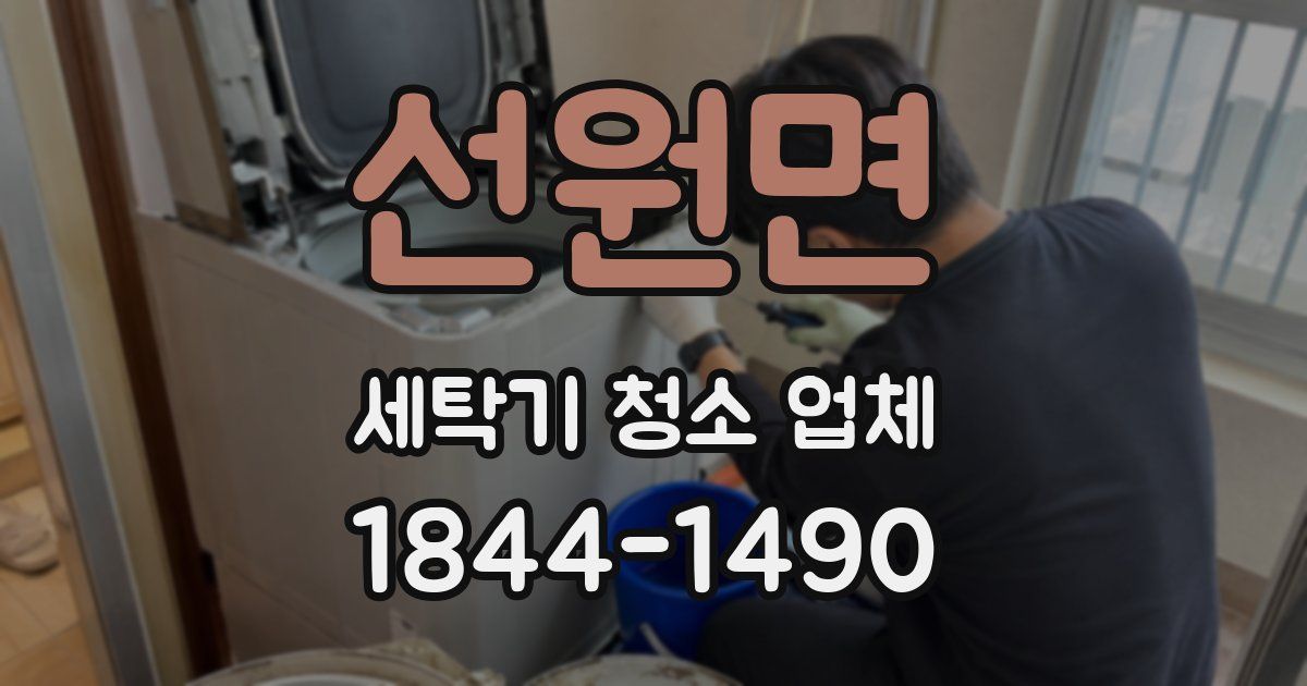 선원면 세탁기 청소 업체