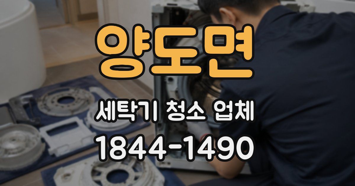 양도면 세탁기 청소 업체
