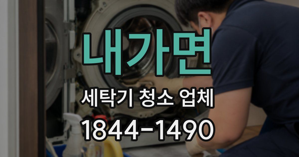 내가면 세탁기 청소 업체