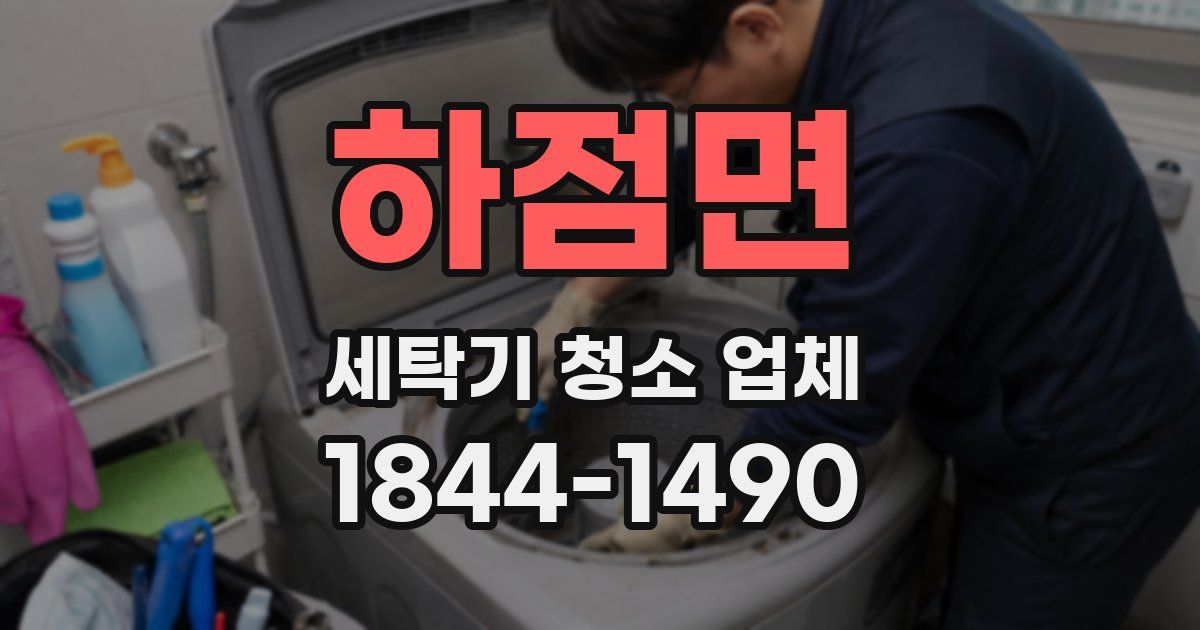 하점면 세탁기 청소 업체