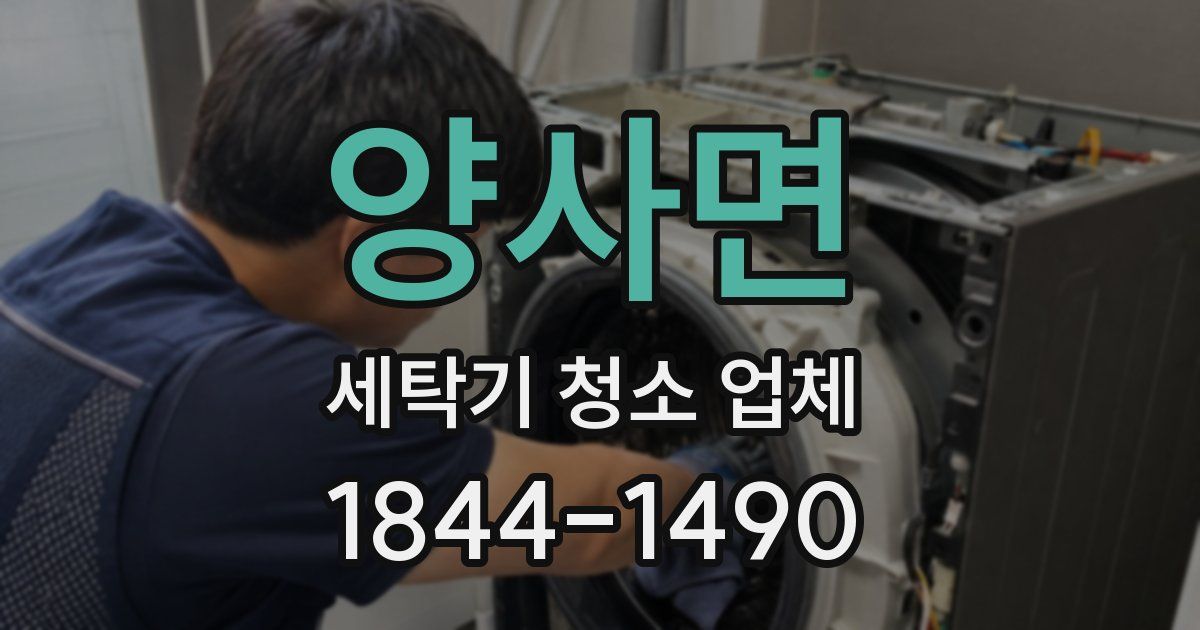 양사면 세탁기 청소 업체