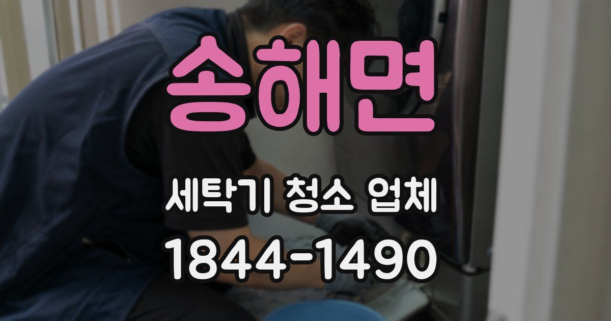 송해면 세탁기 청소 업체