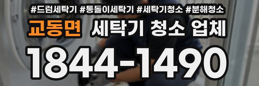 교동면 세탁기 청소 업체