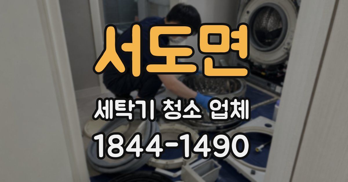 서도면 세탁기 청소 업체