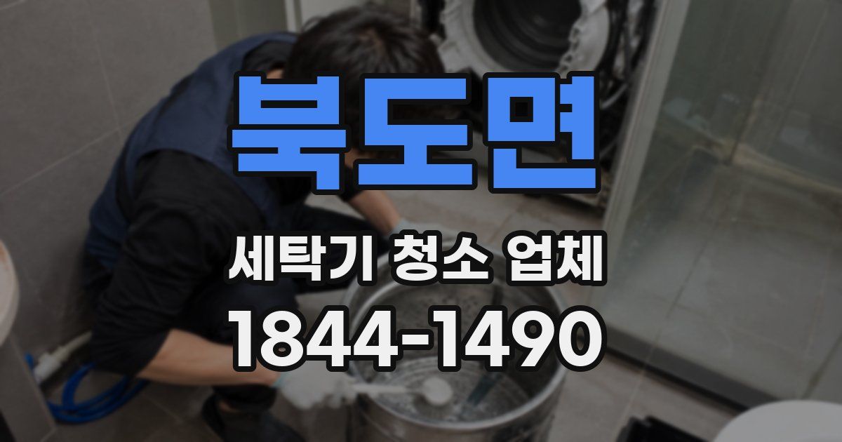 북도면 세탁기 청소 업체