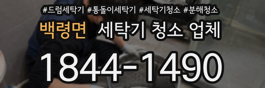 백령면 세탁기 청소 업체