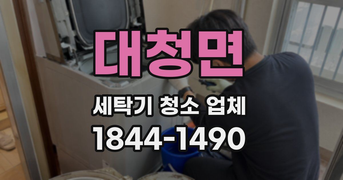 대청면 세탁기 청소 업체