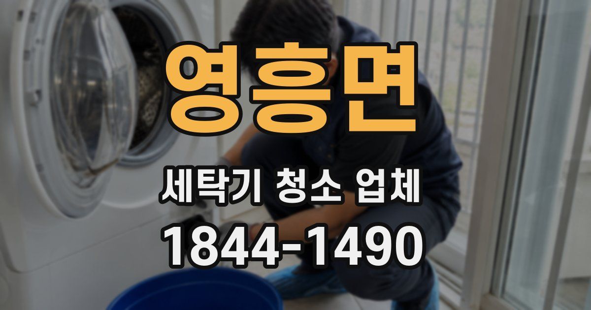 영흥면 세탁기 청소 업체