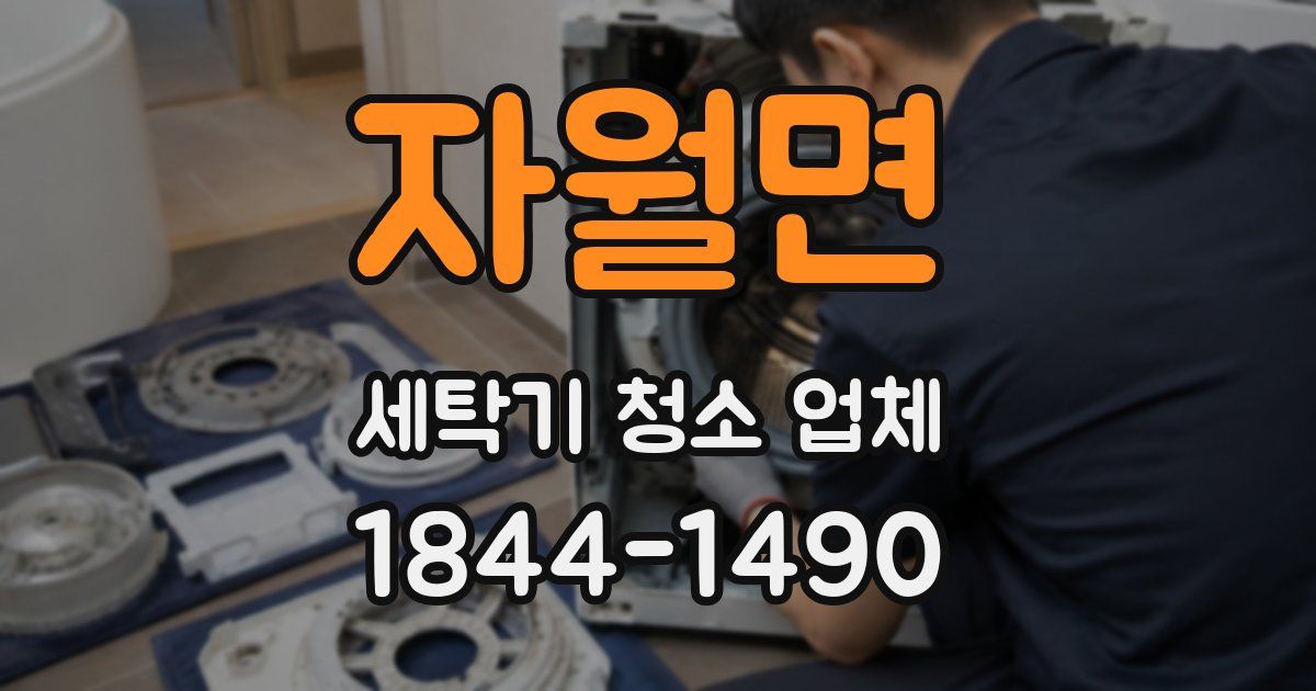 자월면 세탁기 청소 업체