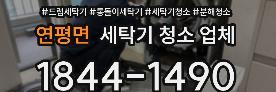 연평면 세탁기 청소 업체