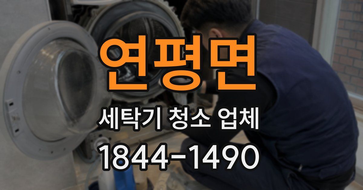 연평면 세탁기 청소 업체