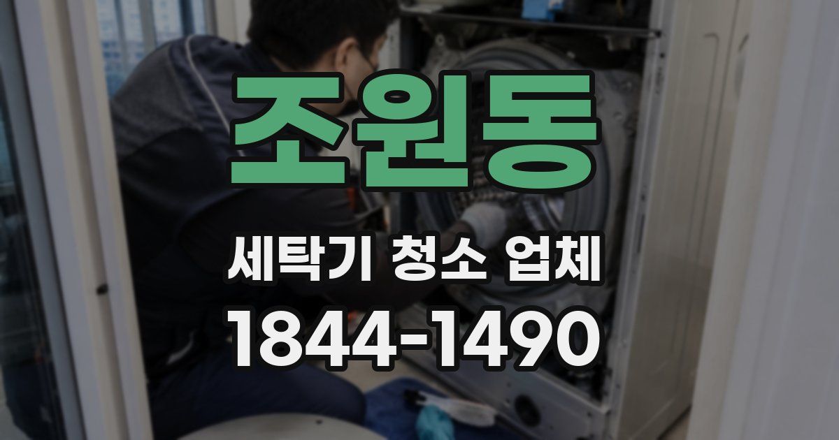 조원동 세탁기 청소 업체