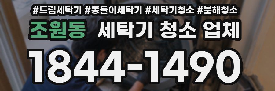 조원동 세탁기 청소 업체