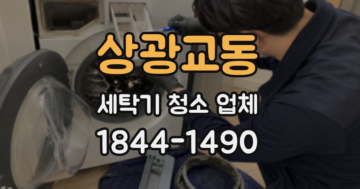 상광교동 세탁기 청소 업체