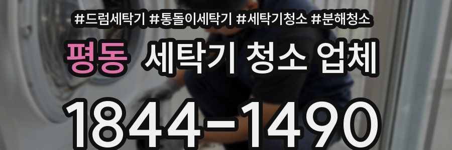 평동 세탁기 청소 업체