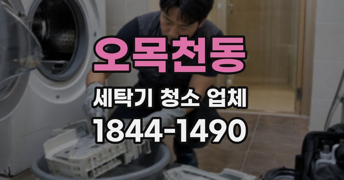 오목천동 세탁기 청소 업체