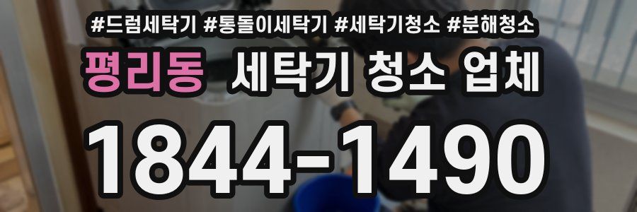 평리동 세탁기 청소 업체