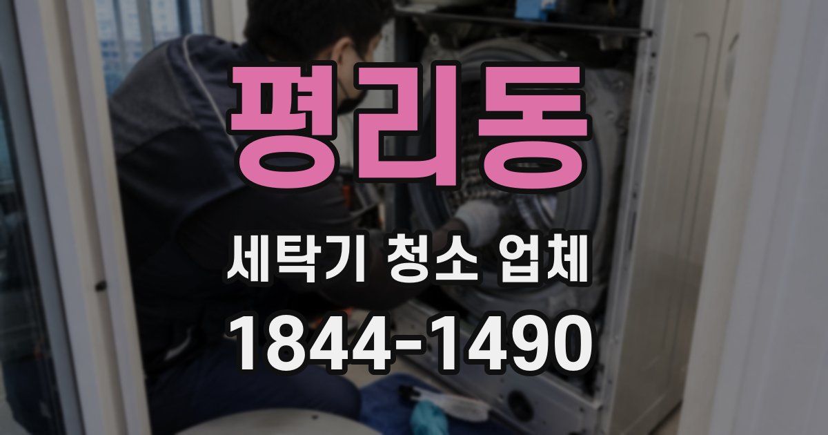 평리동 세탁기 청소 업체