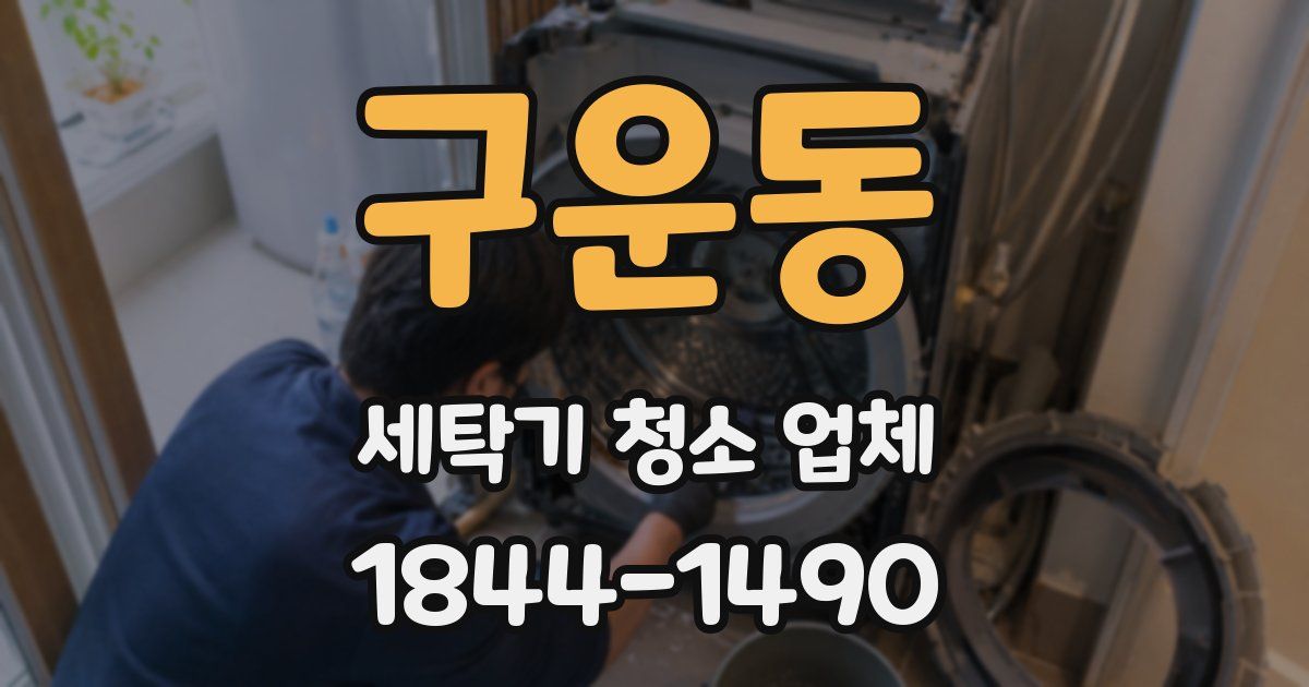 구운동 세탁기 청소 업체
