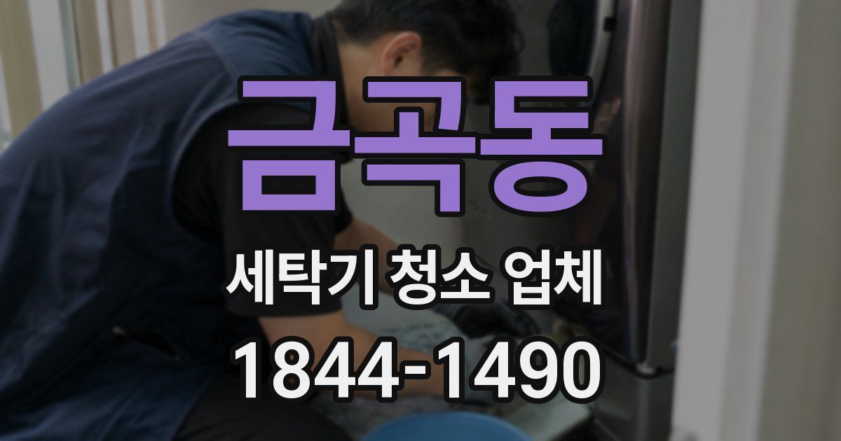 금곡동 세탁기 청소 업체