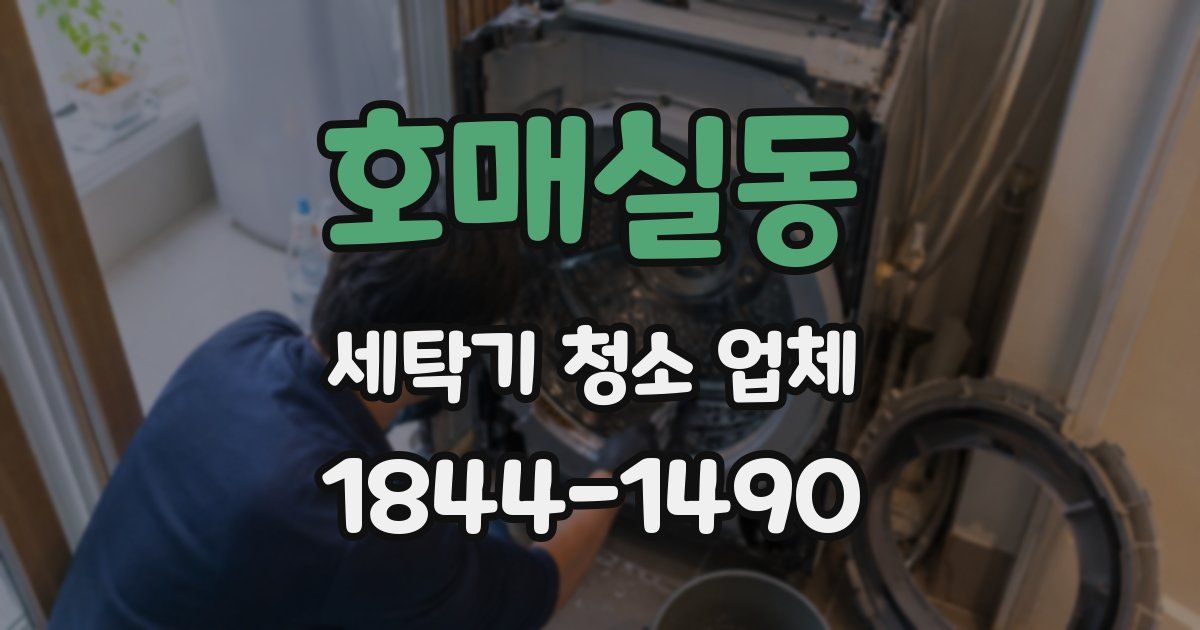 호매실동 세탁기 청소 업체
