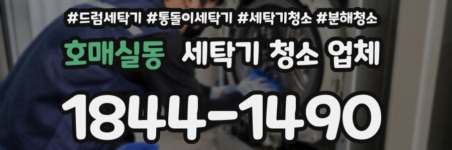 호매실동 세탁기 청소 업체