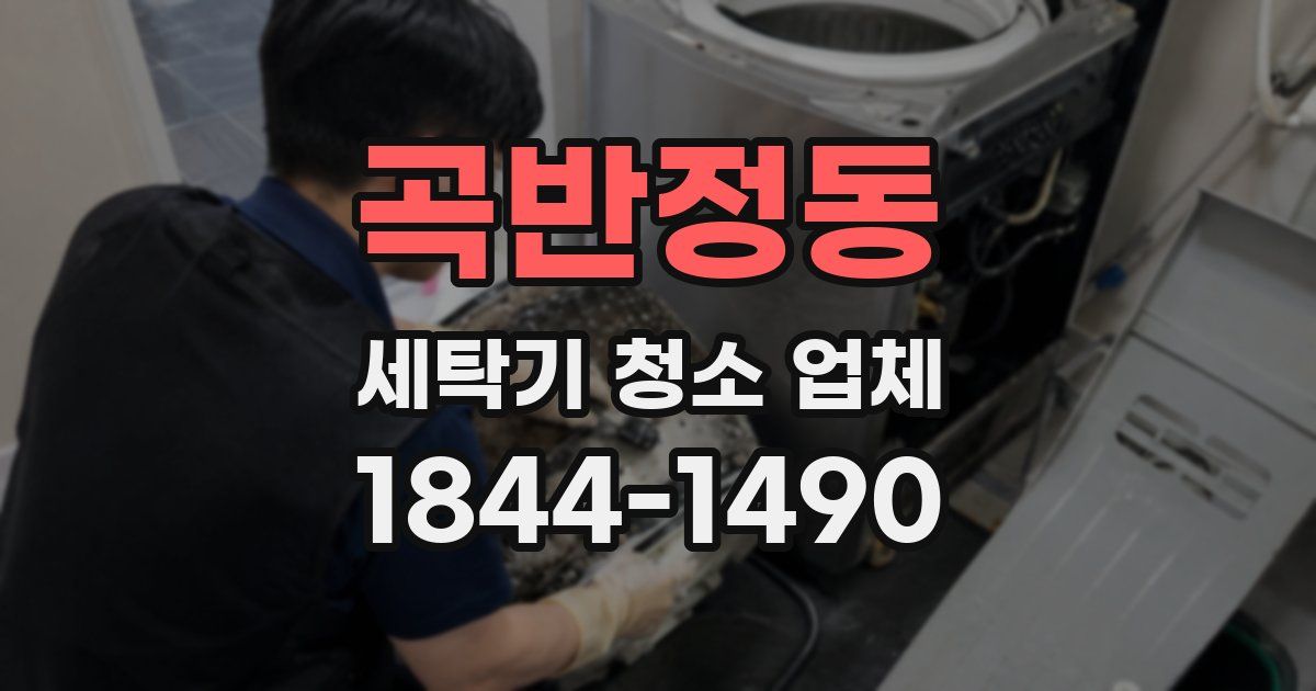 곡반정동 세탁기 청소 업체