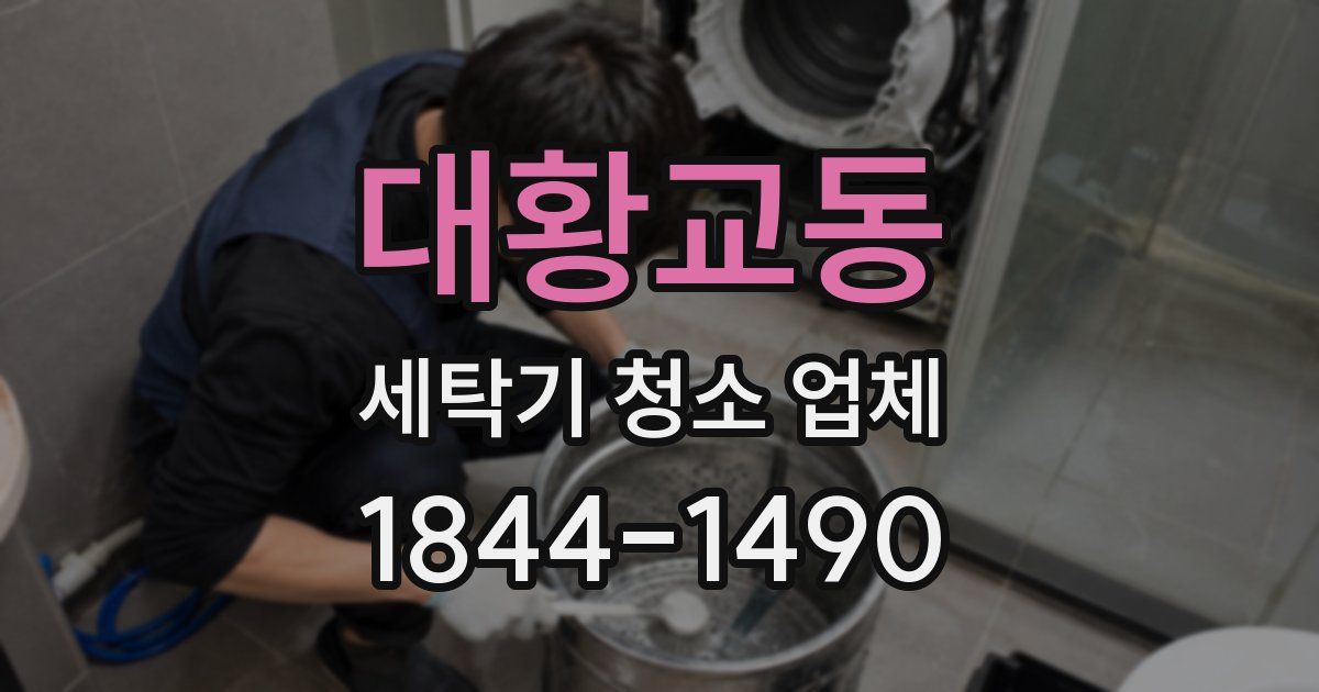 대황교동 세탁기 청소 업체