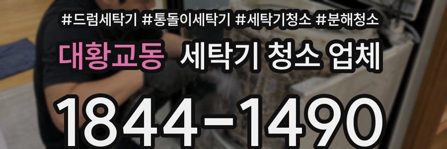 대황교동 세탁기 청소 업체