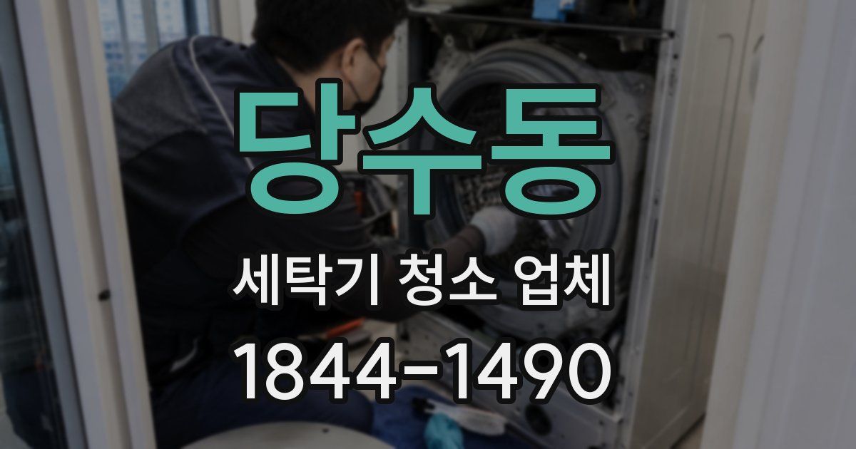 당수동 세탁기 청소 업체