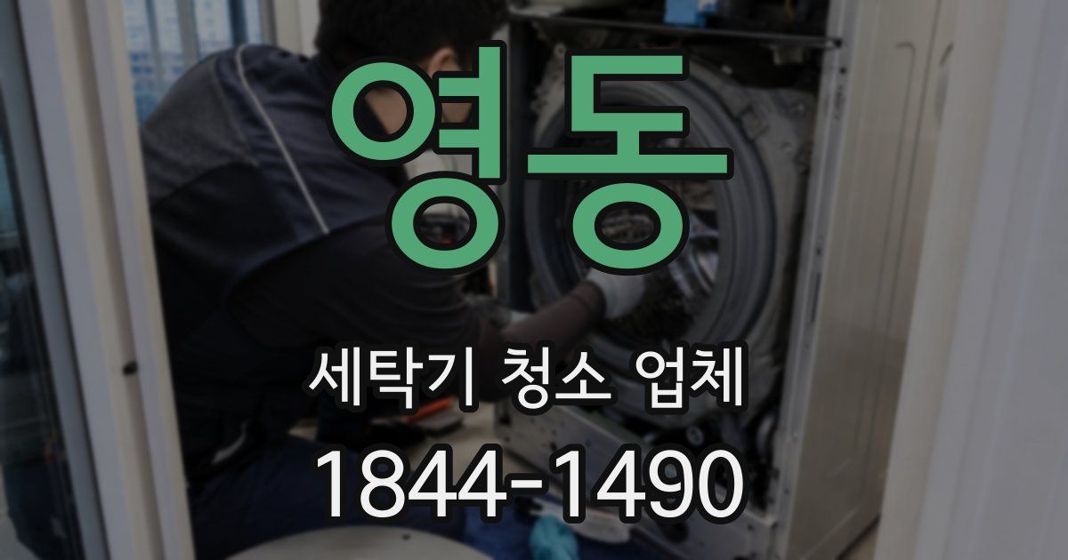 영동 세탁기 청소 업체