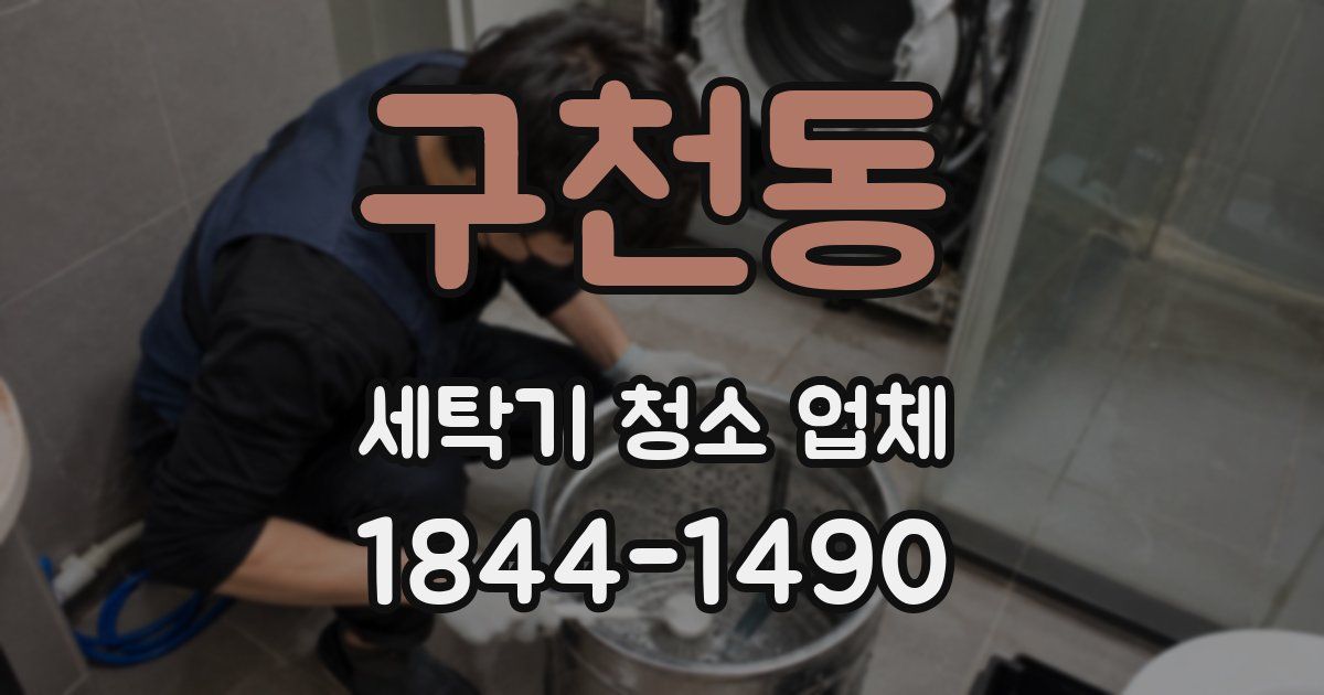 구천동 세탁기 청소 업체