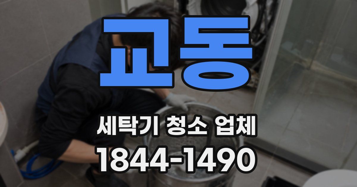 교동 세탁기 청소 업체