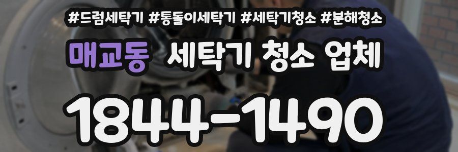 매교동 세탁기 청소 업체