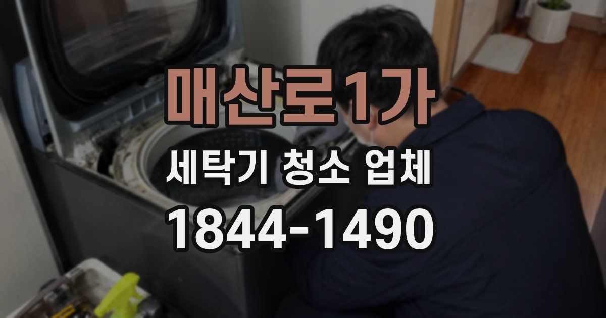 매산로1가 세탁기 청소 업체