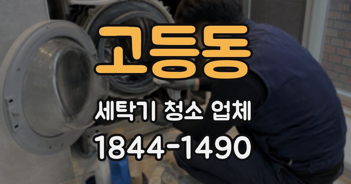 고등동 세탁기 청소 업체