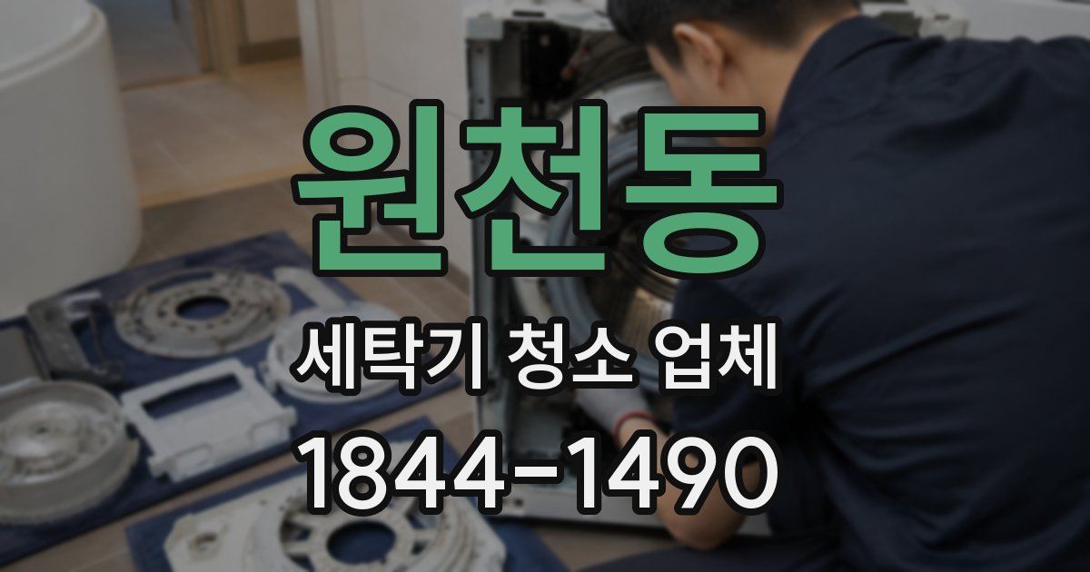 원천동 세탁기 청소 업체