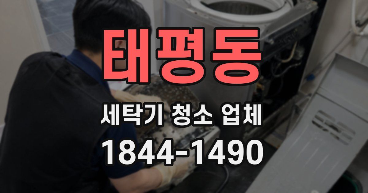 태평동 세탁기 청소 업체