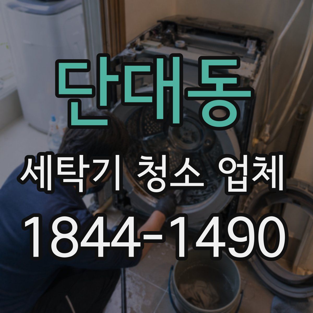 단대동 세탁기 청소 업체